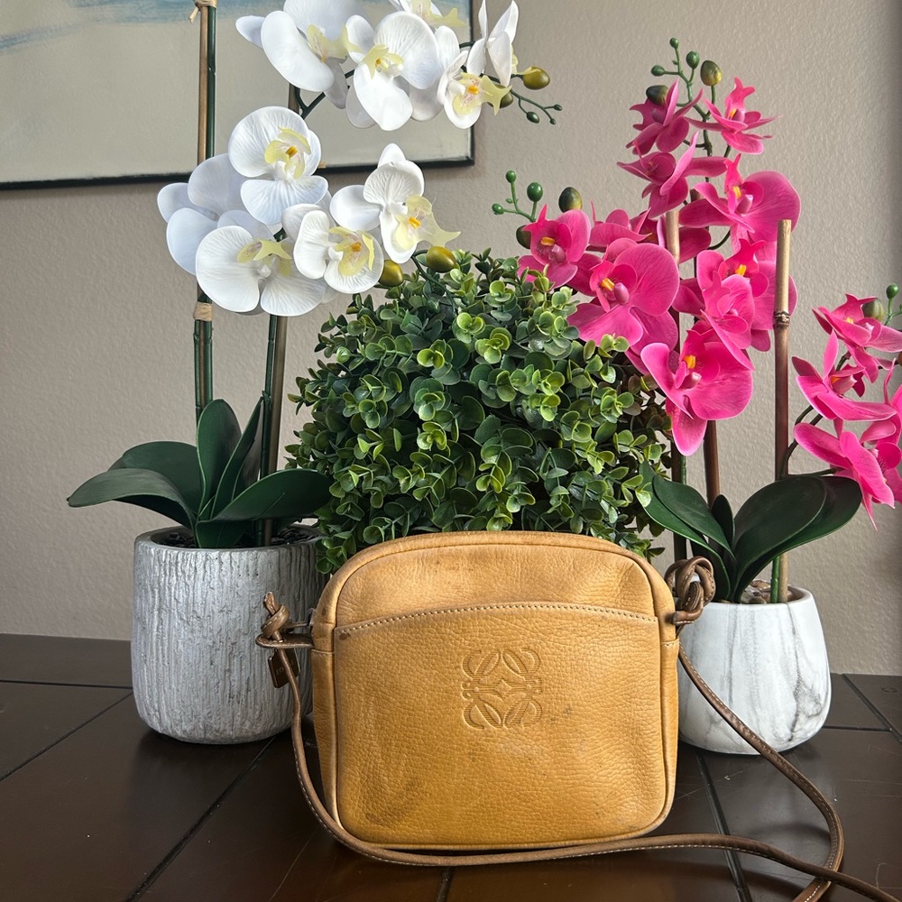 Loewe Crossbody Leather bag